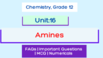 Amines - NEB Class 12 Notes